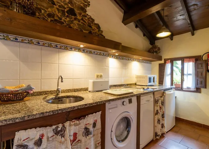 La Casona Del Cura 1, Hortensia *